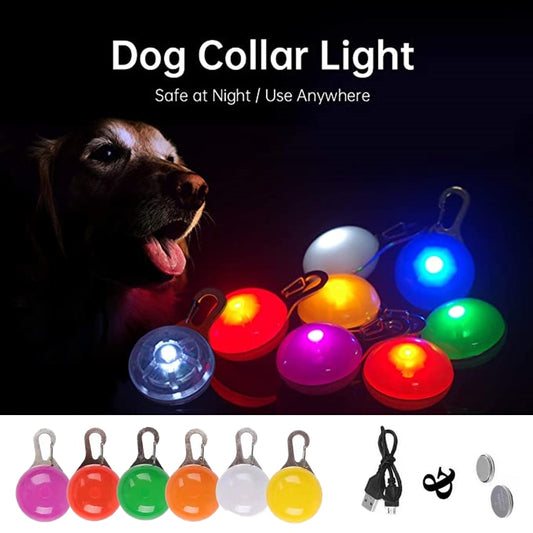 LED Dog Collar Pendant (USB Rechargeable)